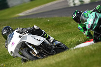 cadwell-no-limits-trackday;cadwell-park;cadwell-park-photographs;cadwell-trackday-photographs;enduro-digital-images;event-digital-images;eventdigitalimages;no-limits-trackdays;peter-wileman-photography;racing-digital-images;trackday-digital-images;trackday-photos